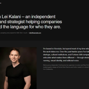 Lei PRO theme (1 year updates)